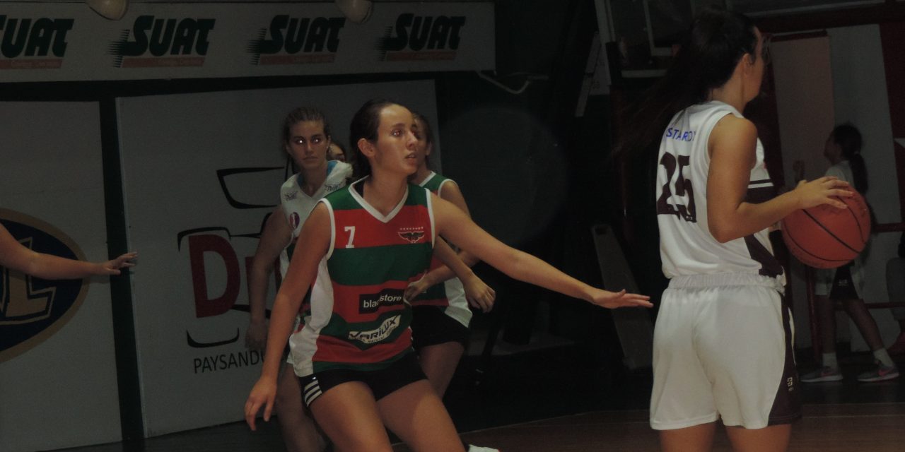 Máquina marrón