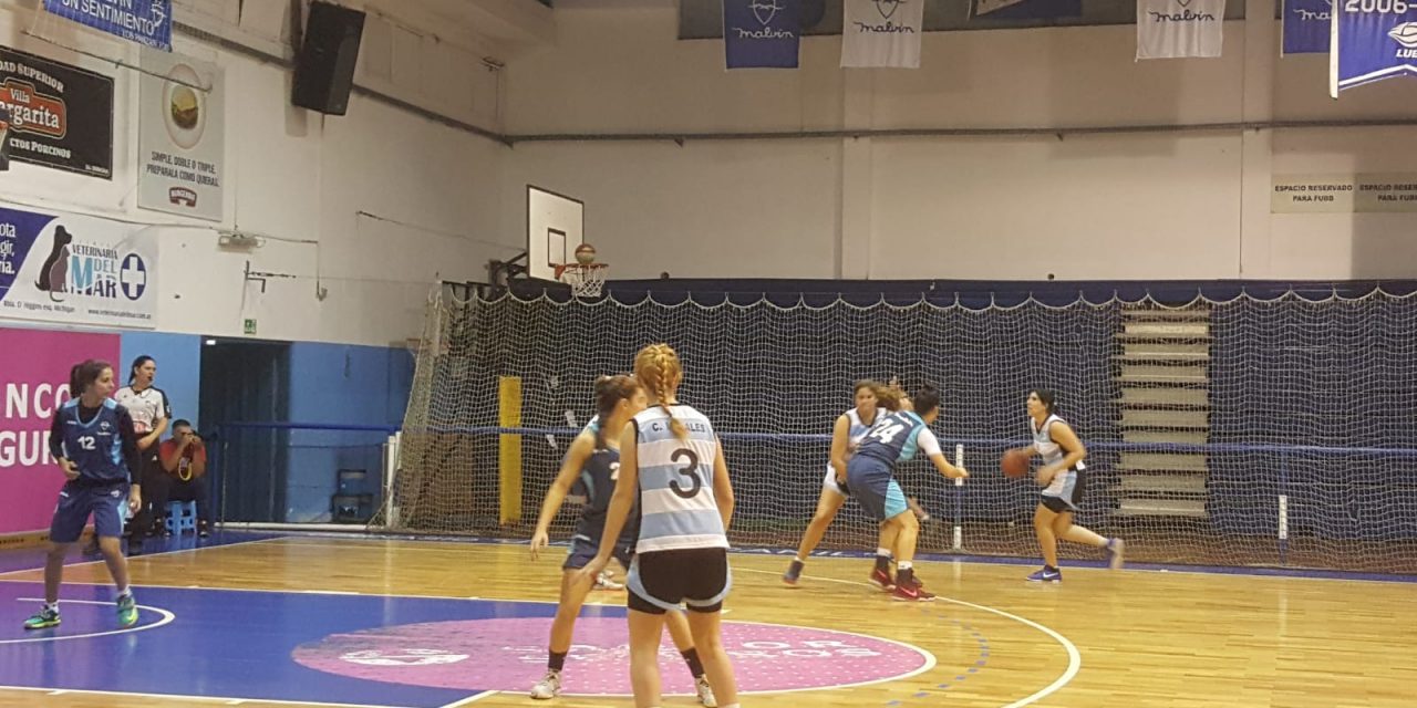 Playeras invictas