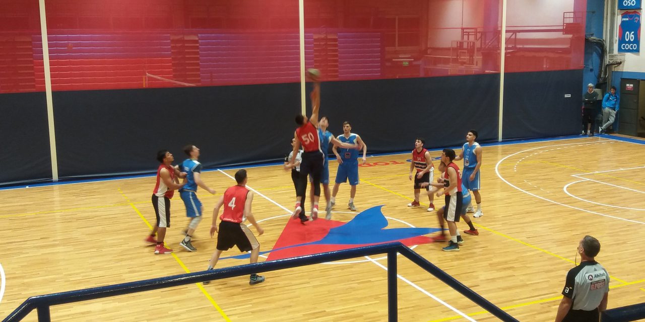 Este pato vuela alto