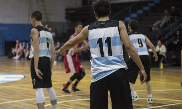 Defensa con alas negras