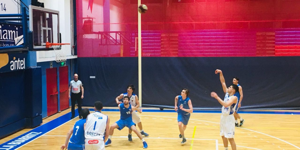 Nico y los Patotiradores