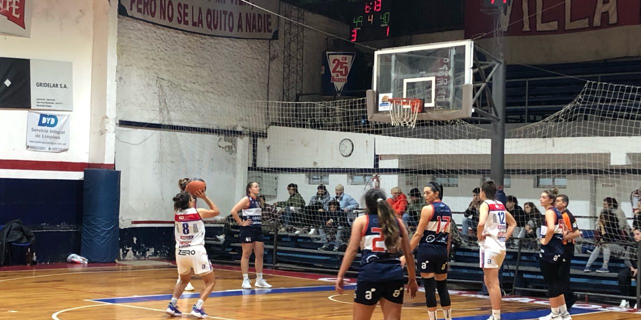 Peligro, leonas sueltas