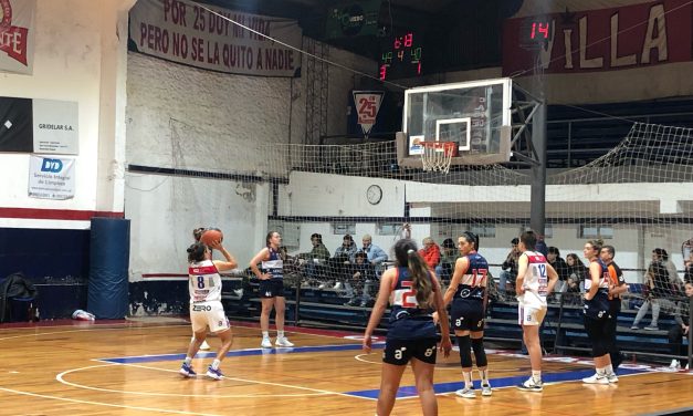 Peligro, leonas sueltas