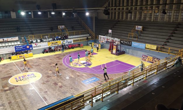 Mataró al León