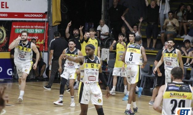 La unión hace la fuerza
